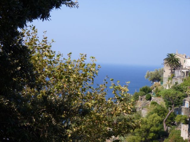 Cap Corse